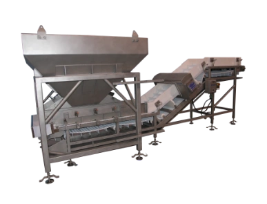 Custom Conveyor 1